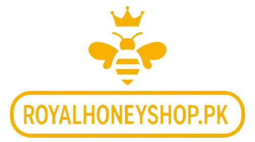 WhatsApp_Image_2025-08-06_at_10.54.50_PM-removebg-preview